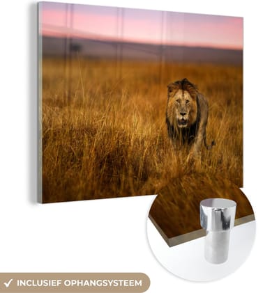 MuchoWow® Glasschilderij 40x30 cm - Schilderij acrylglas - Leeuw - Savanne - Gras - Foto op glas - Schilderijen