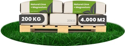 Kalk Korrel meststof verrijkt met magnesium (10x = 200Kg - Voor 4000m2) voor dieper bladgroen (+PH) Speciaal voor gazon, Perken, Moestuin en openbaar groen - Organifer