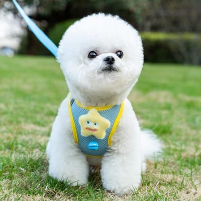 Hond Vier Seizoenen Ademend Grappig Driedimensionale Accessoires Grote Ogen Schattig Vest Type Huisdier Riem Hond Lopen Touw Kat Lopen Touw M