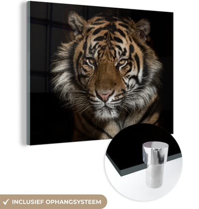MuchoWow® Glasschilderij 120x90 cm - Schilderij acrylglas - Tijger - Wilde dieren - Portret - Foto op glas - Schilderijen