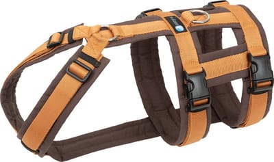 Annyx hondentuig Safety FUN veiligheidstuig anti-ontsnapping maat XS Bruin-Barnsteen-geschikt voor borstomtrek 43 tot 52cm -taille omtrek 38 tot 46 cm