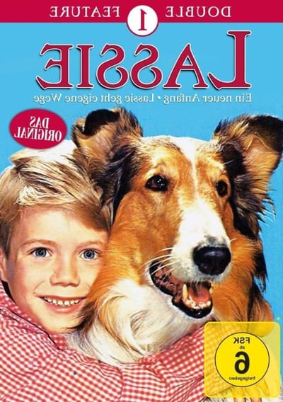 Avontuurlijke Verhalen - Hondenfamilie Film - Familie Entertainment - Twee Klassieke Films - 19.3 cm - Niet gespecificeerd