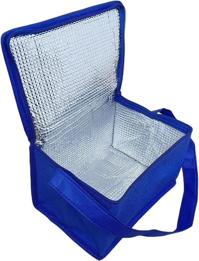 Thijox - Kleine Blauwe Koeltas - Lunchtas, Koeltas, Koeltassen, Vliesstof, Handzaam, Ideaal voor Camping, Picknick, Feest, Kinderen, Tuin, Keuken