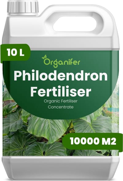 Vloeibare Meststof Voor Philodendron 10 L Voor 1000 M2 - Npk 2-1-8 - Stimuleert Weelderige Bladgroei En Levendige Bladkleur - Versterkt Stengels Voor Opgaande En Hangende Soorten - Verhoogt De Algehele Stressbestendigheid Binnenshuis - Organifer