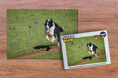 Puzzel Een actieve border collie die over het veld rent - Legpuzzel - Puzzel 1000 stukjes volwassenen