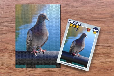 Puzzel Een prachtige duif bij een mooie rivier - Legpuzzel - Puzzel 1000 stukjes volwassenen