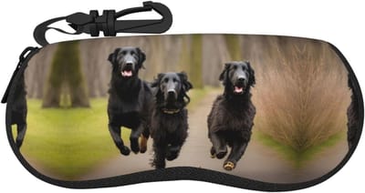 Brillenhoes - Bril Beschermhoes - Brillen Opbergen - Zachte Neopreen - 17 x 8 x 36 cm - Meerdere Kleuren