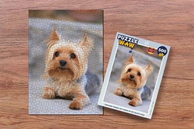 Puzzel Yorkshire Terrier ligt lekker op het zachte tapijt - Legpuzzel - Puzzel 500 stukjes