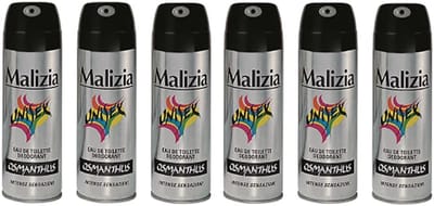 6 x Deodorant Spray voor Mannen - Langdurige Frisheid 125 ml