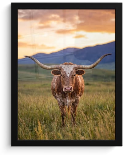 Poster in lijst - Fotolijst 30x40 cm - Posters - Longhorn - Landschap - Zonsondergang - Posterlijst zwart - Decoratie - Wanddecoratie woonkamer - Muurdecoratie slaapkamer