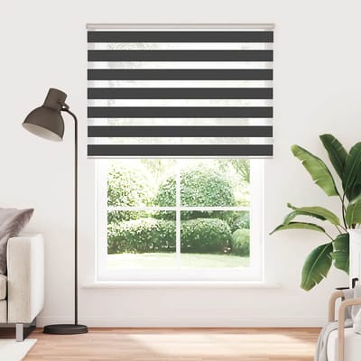 vidaXL - Zebra - rolgordijn - 165x230 - cm - stofbreedte - 160,9 - cm - zwart