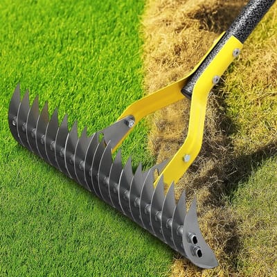 Verticuteerhark Gazon - Gazonhark Ontvilt - Gazon Onderhouden - Dubbelwerkende Kop - 38 cm - Staal