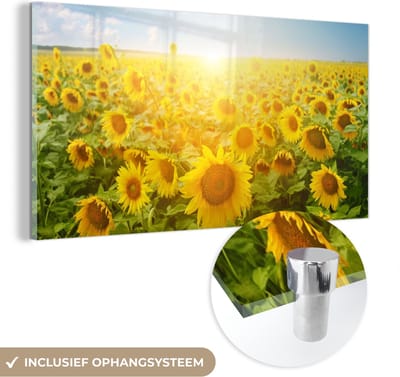 MuchoWow® Glasschilderij 40x20 cm - Schilderij acrylglas - Zonnebloem - Zon - Wolken - Foto op glas - Schilderijen