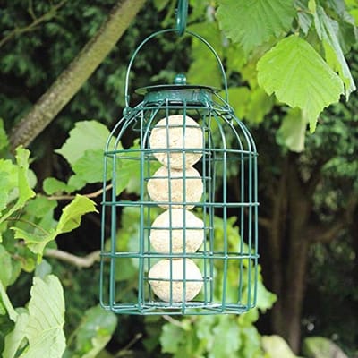 Premium Hoge Energie Vogelvoeder voor Tuin - Eekhoorn Bestendige Hangfeeder