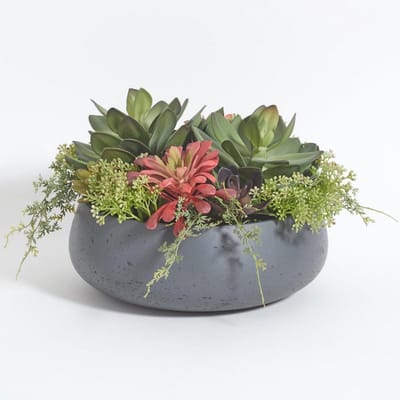 Premium Kunstmatige Kamerplant - Faux Succulente in Grijze Plantenbak voor Een Natuurlijke Touch in Elk Interieur