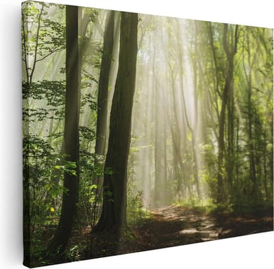 Artaza Canvas Schilderij Zonnestralen Bos - 40x30 cm - Klein - Wanddecoratie Landschap - Muurdecoratie Woonkamer - Schilderijen Op Canvas
