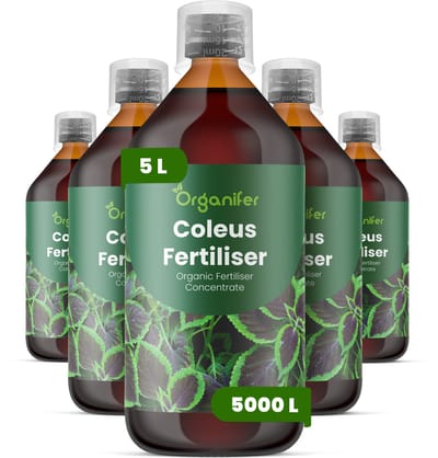 Vloeibare Meststof Voor Coleus 5X1 L Voor 5000 L - Npk 3-4-3 - Krachtige Groei - Bladkleurintensiteit - Sterke Wortels - Weerbaarheid - Bladontwikkeling - Bladvernieuwin - Weelderige Planten - Organifer
