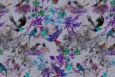 Behang walls by patel funcky birds 2