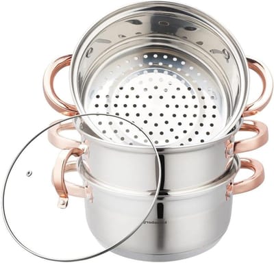 Stoompan Pannenset - Stoomkoker - Gezond Koken - Roestvrij Staal - 20 cm - Zilver Roségoud
