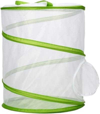 Insecten Terrarium - Vlinderkooi Habitat - Natuurlijke Observatie - Goede Luchtdoorlatendheid - 30x30x35cm - Groen