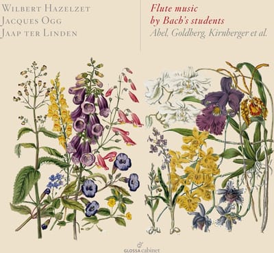Wilbert Hazelzet, Jacques Ogg, Jaap ter Linden - Flute Music By Bach's Students (Abel, Goldberg, Kirnberger Et Al.) (CD)