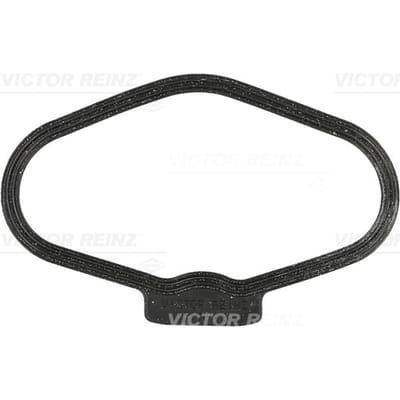 Victor Reinz Kleppendeksel pakking REINZ 71-10170-00