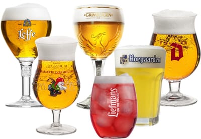 Leffe Bierglazen cadeau set - Bierkenner - 6 stuks - Set van 6 verschillende bierglazen - Ideaal voor bierproeverij - Vaatwasserbestendig - Helder glas - 250-330 ml - Glaswerk - Bierglazen