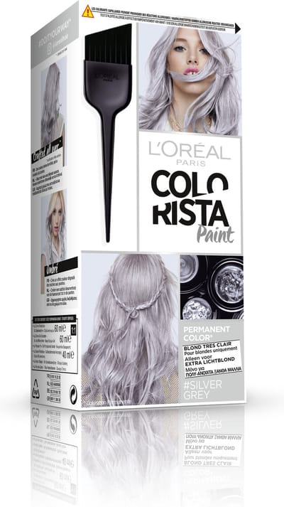 COLORISTA PAINT FR/NL/GR 10.120 SIL