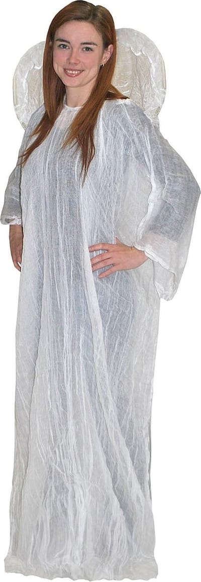 Engelkostuum | Volwassenen | 170cm | Verkleedkleding