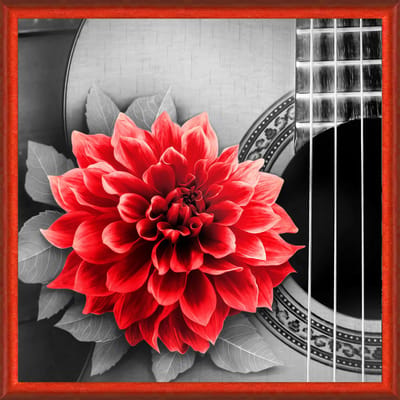 Diamond Painting Flower and Guitar AZ-1772