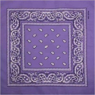 Haarsoires Haarband Bandana Zakdoek 55cm – Paisley Print – Paars - Multifunctioneel Accessoire voor Haar, Festivals en Mode - One Size & Unisex
