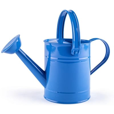 Woody Metalen Gieter Voor Kinderen - Blauw