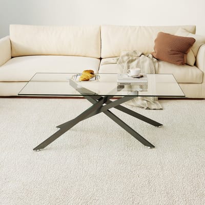 HAUSS SPOLE Salontafel - Gehard Glazen Blad Met Metalen Onderstel - Voor Woonkamer - Zwart - 120x60x46 Cm