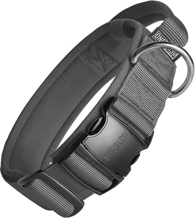 Hondenhalsband Met Metalen Gesp - Zwart - Maat M