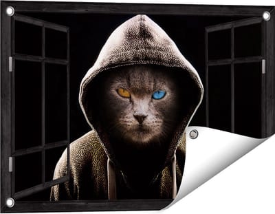 Gards Tuinposter Doorkijk Boze Kat Draagt een Hoodie - 60x40 cm - Tuindoek - Tuindecoratie - Wanddecoratie buiten - Tuinschilderij