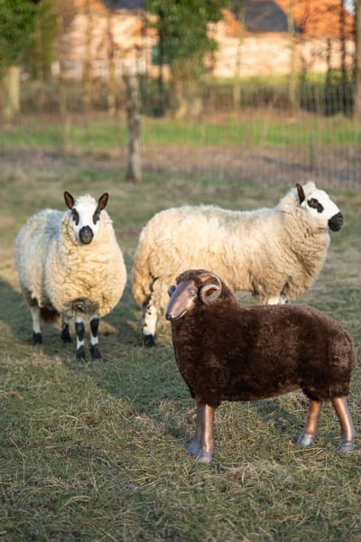 J-Line decoratie Schaap Hoorns - polyresin - bruin