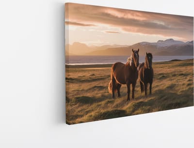 Saammp Canvas Schilderij - Paarden in de wei - Dieren - Natuur - 45x30 - Foto op canvas - Wanddecoratie - muurdecoratie Woonkamer - Slaapkamer decoratie - Canvas Print