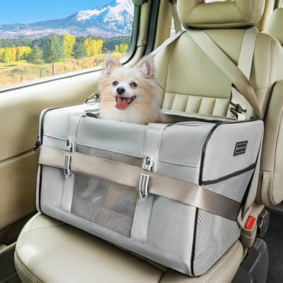Comfortabele Reistas voor Hond of Grote Kat tot 9 kg - Zachte Bench voor Auto en Onderweg