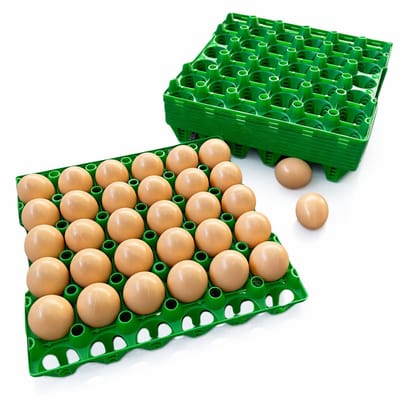 Kunststof Eiertray 10 x voor 30 eieren