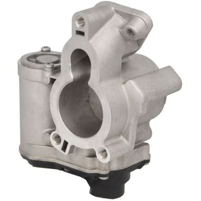 Borg Warner EGR-klep WAHLER 710939D