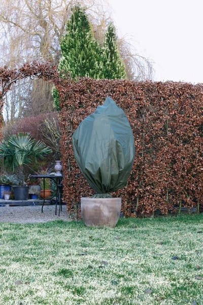 Beschermhoes / Winterafdekhoes Voor Planten Met Koord 70g/m2 Ø1,50 x 2 mt groen