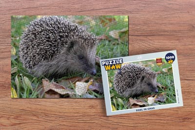 Puzzel Egel in gras - Legpuzzel - Puzzel 1000 stukjes volwassenen