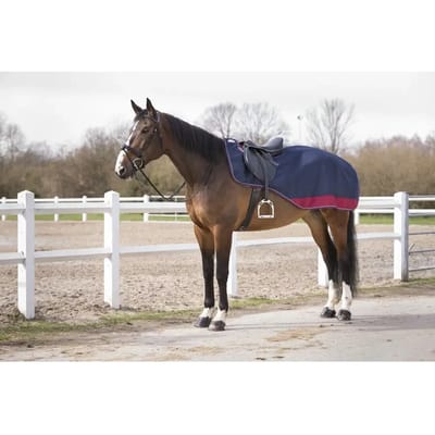 Outdoor paardendeken Equithème Tyrex 600 D 150g