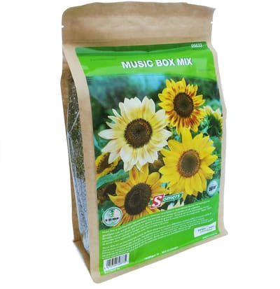 Zonnebloemen Music box 50m²