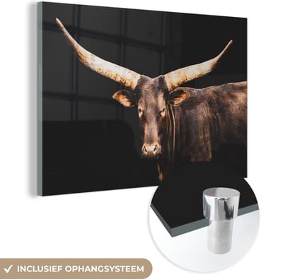 MuchoWow® Glasschilderij 60x40 cm - Schilderij acrylglas - Koe- Watussi - Zwart - Foto op glas - Schilderijen
