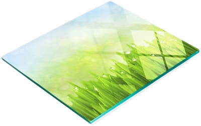 Decoratieve glazen snij- en serveerplank voor in de keuken, met grasmotief, 60x52 cm