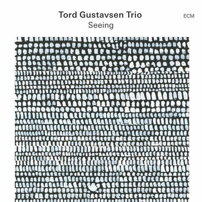Tord Gustavsen Trio - Seeing (CD)