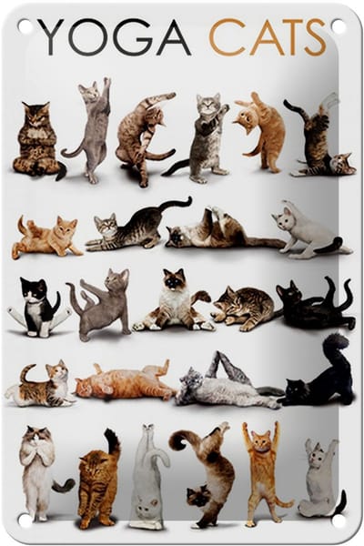 Blechschild Tiere 12x18cm Yoga Cats Katzen Schild