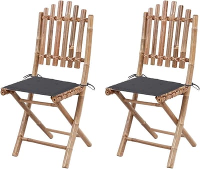 Inklapbare tuinstoelen - Zetels buiten - Genieten van de zon - Inclusief kussens - 2 stuks - Naturel