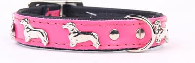 Dog's Companion Leren Halsband - Teckel - Lengte: 45 cm Verstelbaar van 35-41 cm x 20 mm - Roze